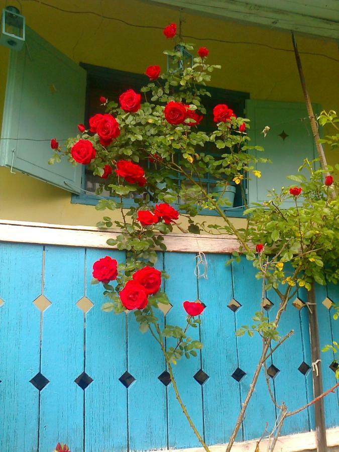 Blue Cottage Podvrh  Ngoại thất bức ảnh