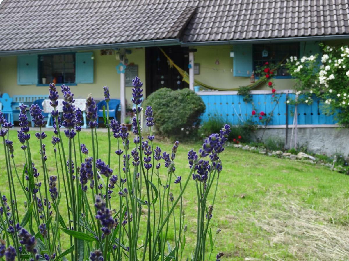 Blue Cottage Podvrh  Ngoại thất bức ảnh